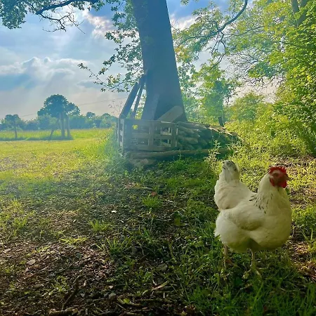 Countryside Barn *